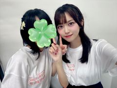 T シャツ (ハニフェス 2025)